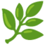 :herb: